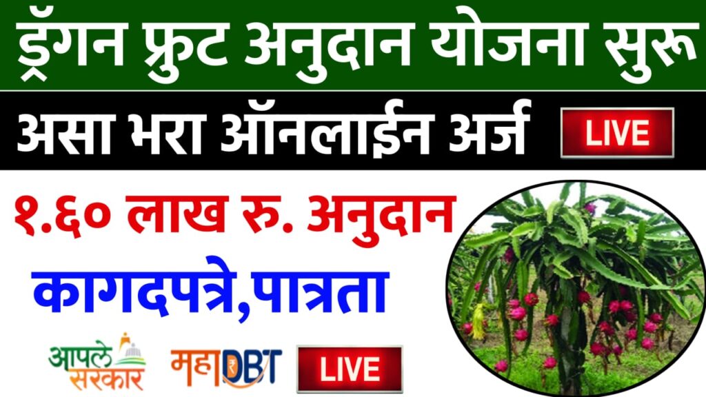 Dragon Fruit Anudan Yojana