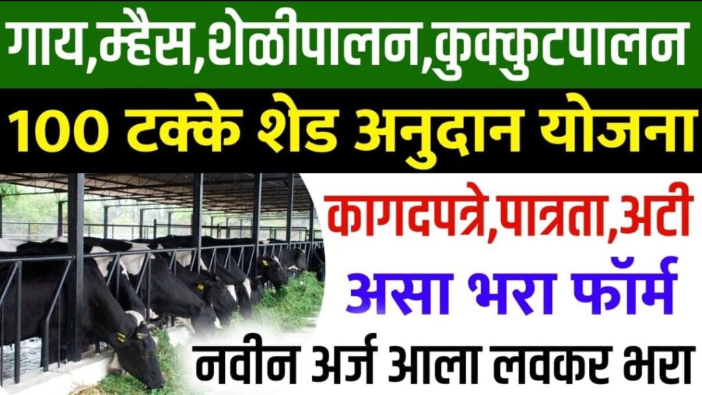 Gai Palan Shed Yojana