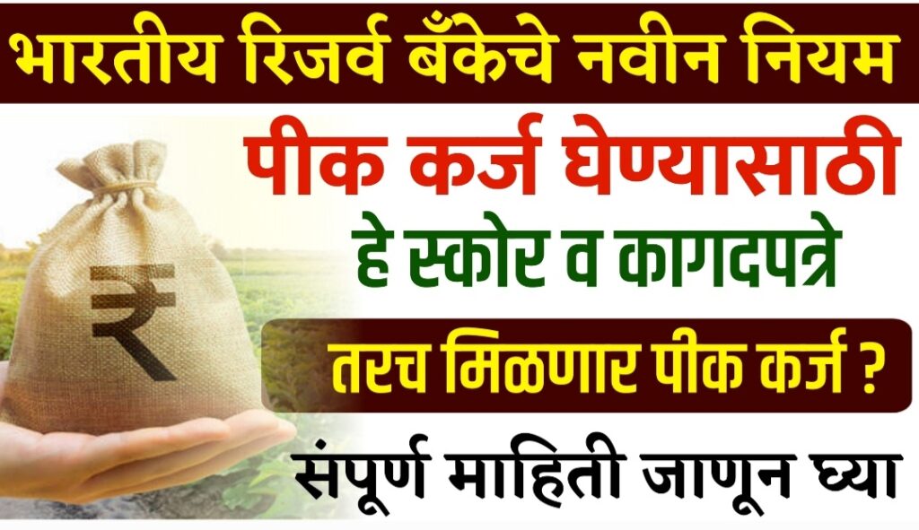 Pik karj Ghenyasathi Cibil Score Aavshyak