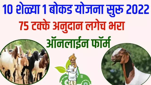Sheli Palan Yojana Maharashtra