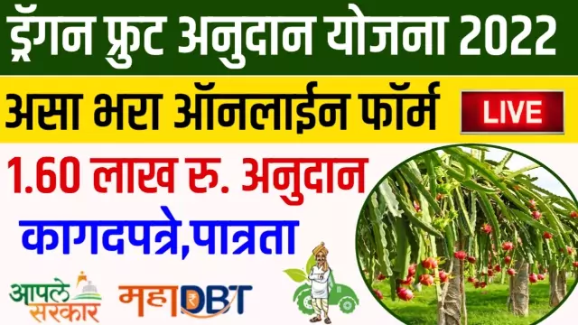 Dragon Fruit Anudan Yojana