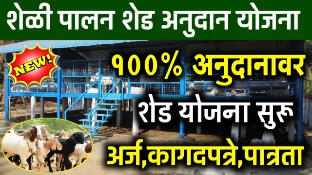 Sheli Palan Shed Anudan Yojana