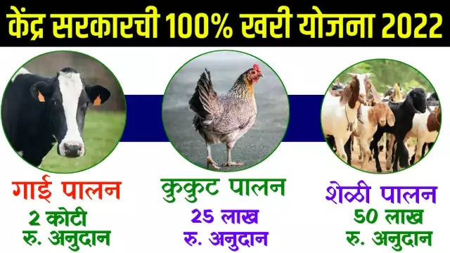 Gai Gotha Anudan Yojana