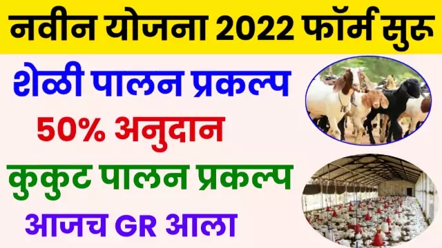 Goat Farming Scheme Marathi