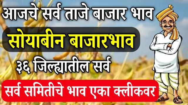 Today Soybean Bhav Live