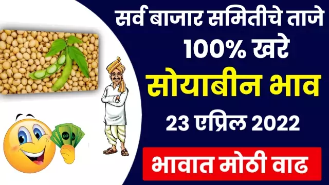Aajche Soybean Bajar Bhav