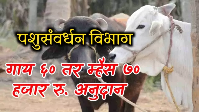 Gay Mhais Yojana 2022