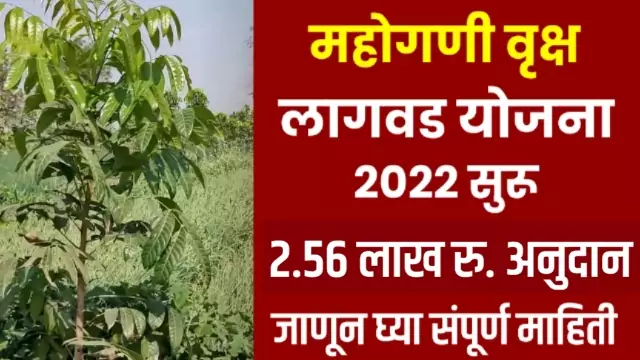 Mahogany Anudan Yojana Maharashtra
