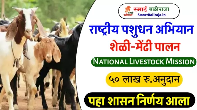 National Livestock Mission Subsidy