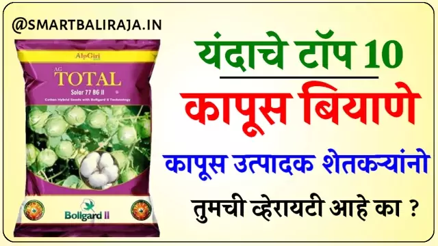 Top 10 Cotton Seeds in Maharashtra