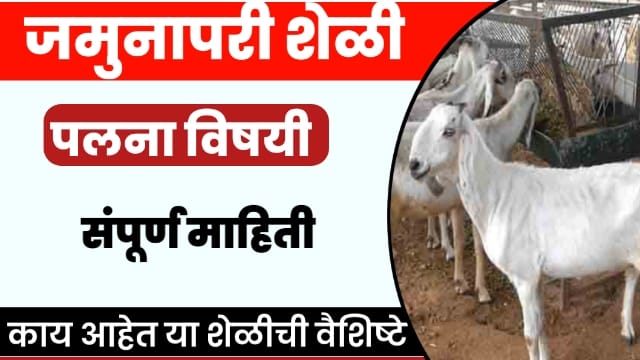 Jamunapari Shelipaln Information