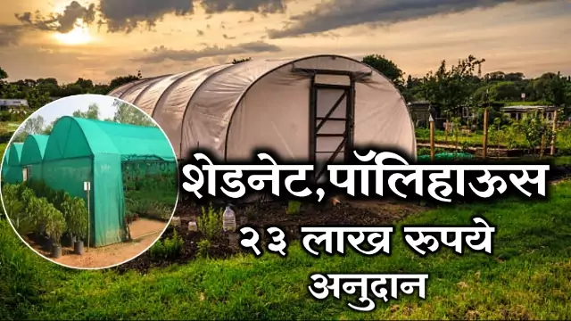 Polyhouse Subsidy in Maharashtra