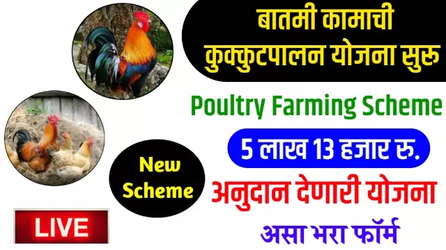Poultry Farming Project