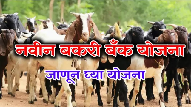 Bakari Bank Yojana 2022