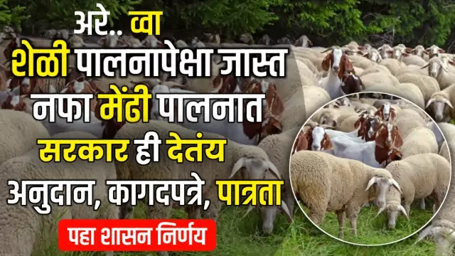 Sheep Farming Subsidy