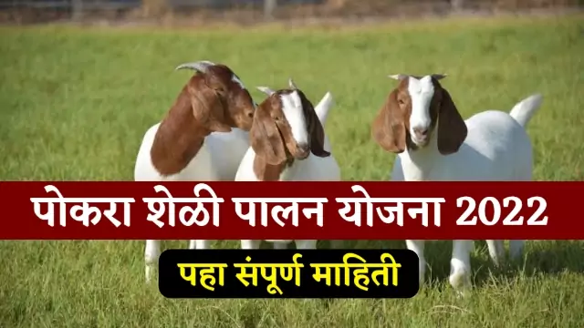 Sheli Palan Anudan Yojana Form
