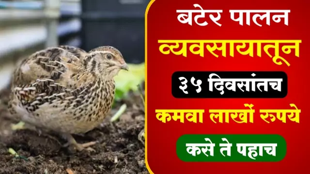 Bater Palan Vishai Mahiti
