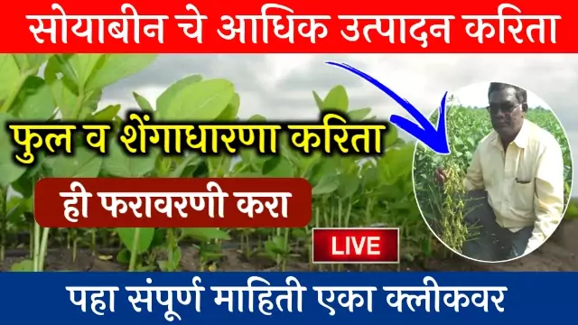 How to Increase Soybean Yield