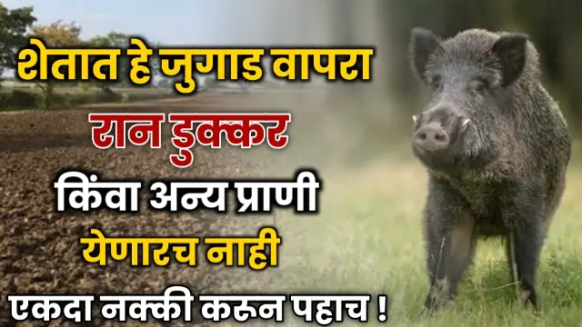 Randukkar Shetat in Marathi