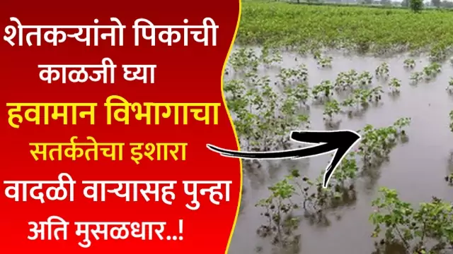 Today Imd Weather Forecast