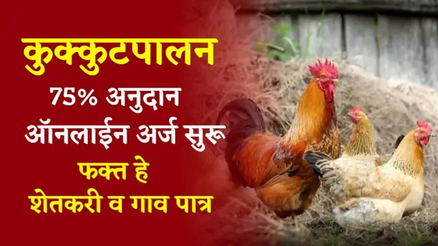 Poultry Farming Subsidy