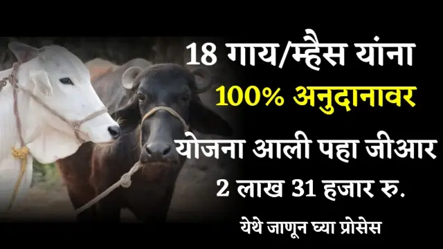 Gai Mhais Gotha Scheme