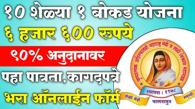 Ahilyabai Holkar Sheli Palan