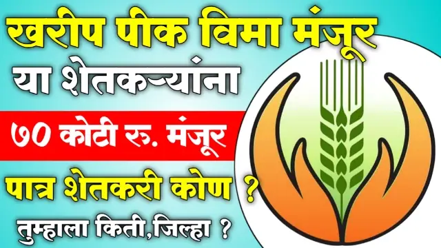 Crop Insurance News