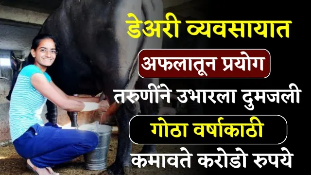 Dairy Farming Success Story