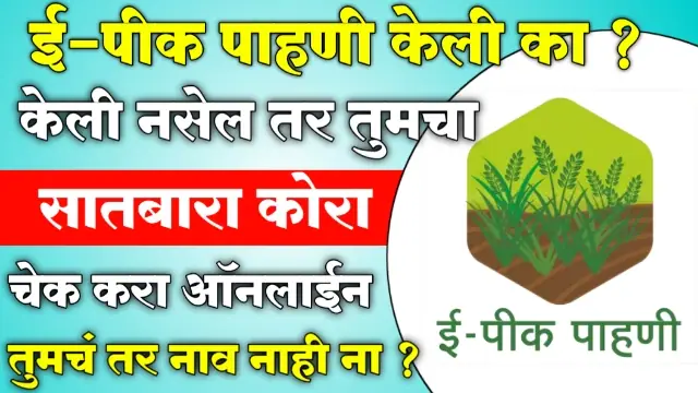 E Pik Pahani Mahiti