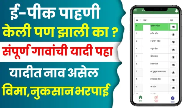 E-Pik Pahani Status Online
