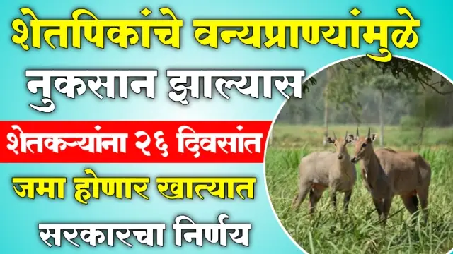 Vanya Prani Nuksan Bharpai