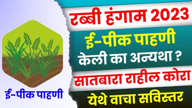 E Pik Pahani Status Check