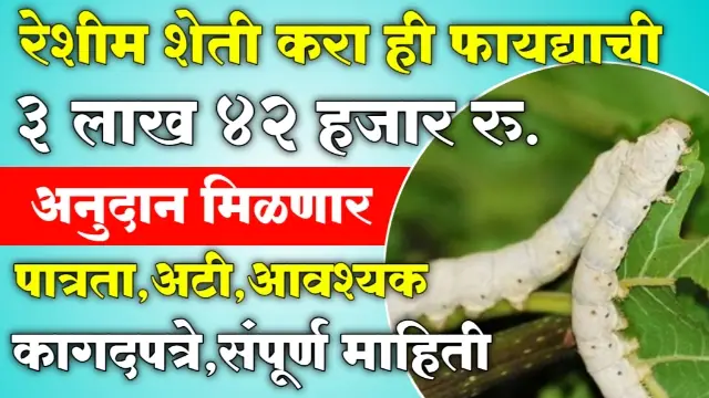 Silk Farming Scheme Maharashtra