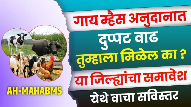 Ah Mahabms Anudan Yojana