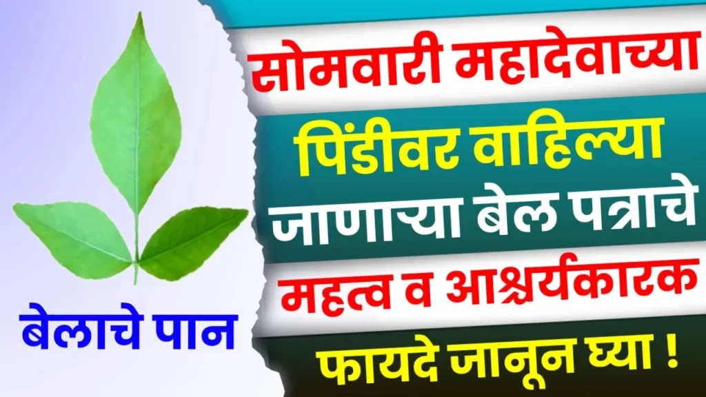 Bel Patra Health Benefits