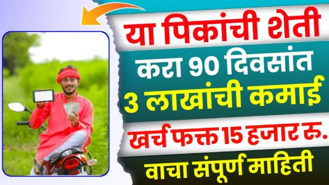 Tulsi Farming Business in Marathi